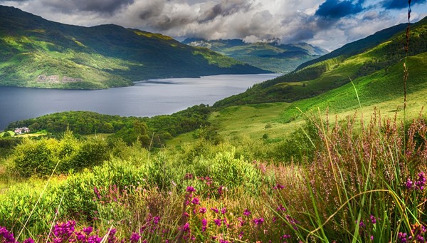 Lomond lake